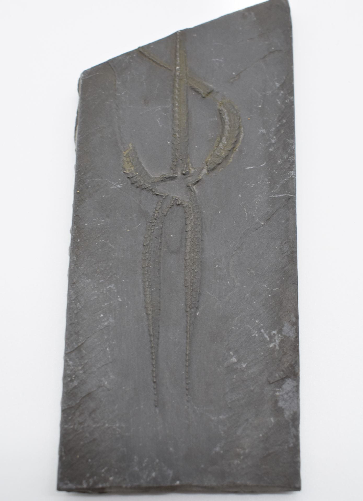 A gray rectangular slab of flat rock with the shape of a starfish on it - a center with five appendages radiating out from it.