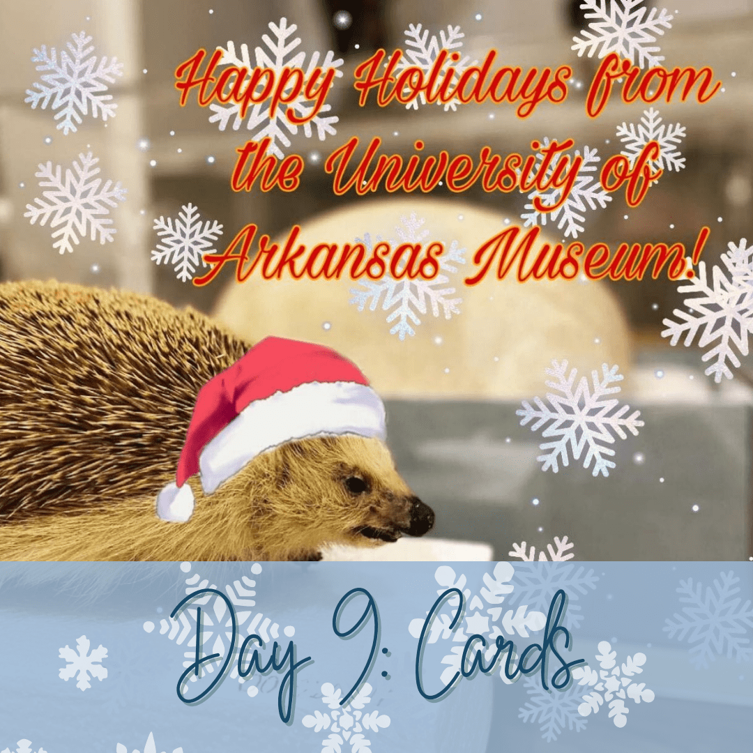 A taxodermy hedgehog with an illustrated Santa hat on its head, illustrated snowflakes falling, and the words "Happy holidays from the University of Arkansas Museum" next to it.
