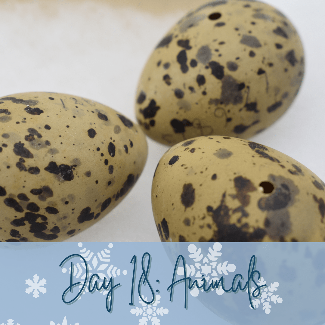 Three tan eggs with large dark brown spots all over them. Blue overlay at bottom of image with words "Day 18: Animals."