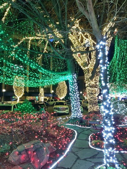 An outdoor path at nighttime surrounded by trees and bushes that are lit up with holiday lights.