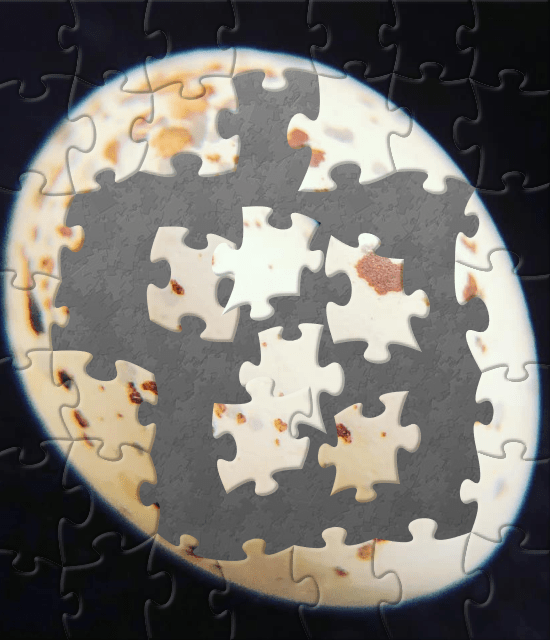 Screenshot example of one of the jigsaw puzzles