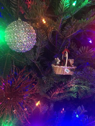 Close up image of a decorated and lit Christmas tree. Two ornaments are in view, including a sparkly silver ball and a basket holding two kittens.